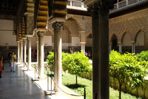 DSCF4865.JPG