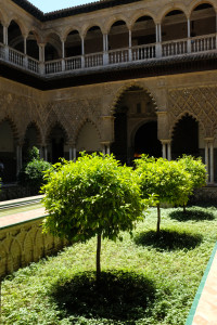 DSCF4866.JPG