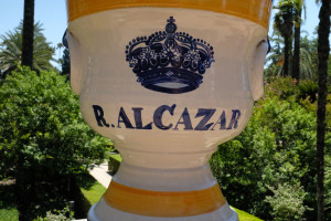 DSCF4877.JPG