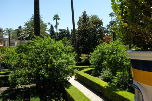 DSCF4878.JPG