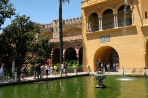 DSCF4880.JPG