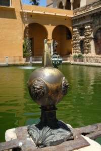 DSCF4881.JPG