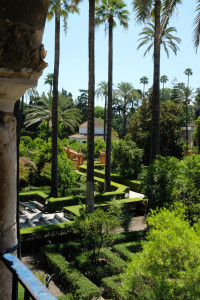DSCF4884.JPG