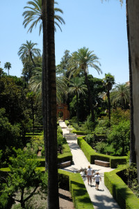 DSCF4889.JPG