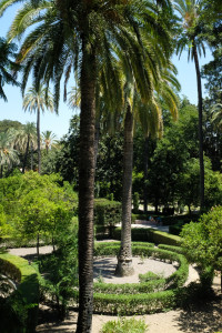 DSCF4890.JPG