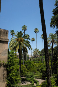 DSCF4893.JPG