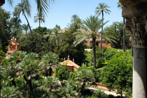 DSCF4894.JPG