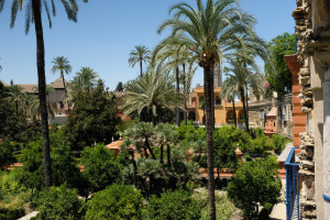 DSCF4895.JPG