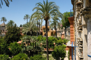 DSCF4896.JPG