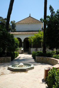 DSCF4905.JPG