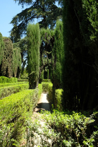 DSCF4908.JPG