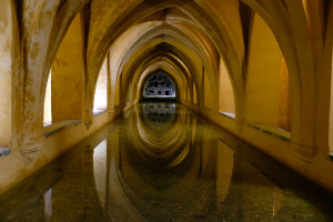 DSCF4911.JPG