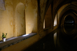 DSCF4912.JPG