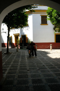 DSCF4915.JPG