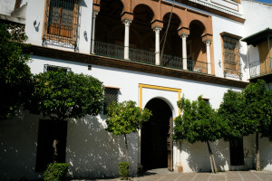 DSCF4916.JPG