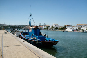DSCF4930.JPG