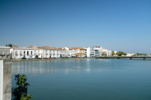 DSCF4937.JPG