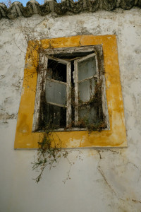 DSCF4947.JPG