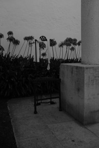 DSCF4952.JPG