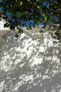 DSCF4954.JPG