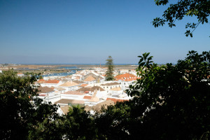 DSCF4960.JPG