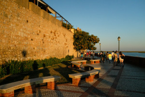 DSCF4978.JPG