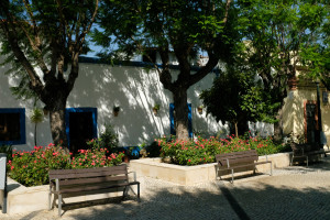 DSCF4985.JPG