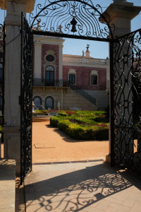 DSCF4990.JPG