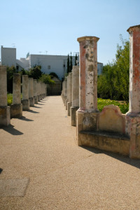 DSCF4996.JPG
