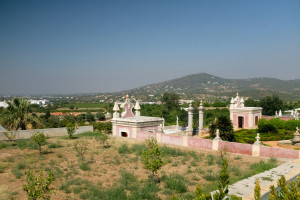 DSCF5001.JPG
