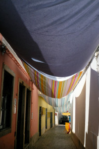 DSCF5023.JPG