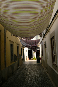 DSCF5024.JPG