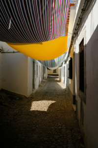 DSCF5048.JPG