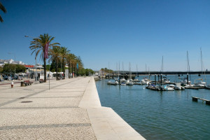 DSCF5057.JPG