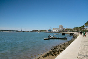 DSCF5058.JPG
