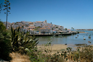 DSCF5061.JPG