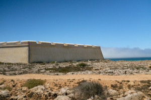 DSCF5071.JPG