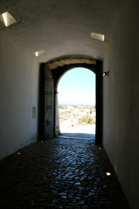 DSCF5073.JPG