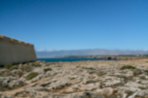 DSCF5079.JPG