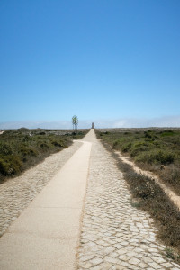 DSCF5085.JPG