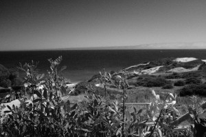 DSCF5090.JPG