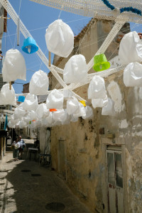 DSCF5095.JPG