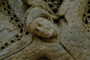 DSCF5150.JPG