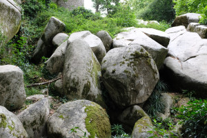DSCF5153.JPG