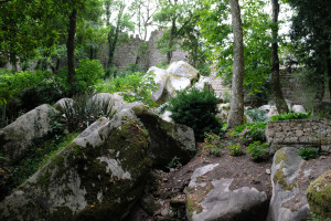 DSCF5154.JPG
