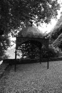 DSCF5156.JPG