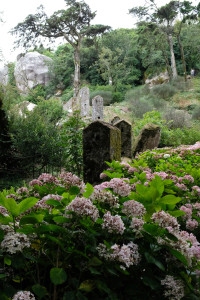 DSCF5157.JPG