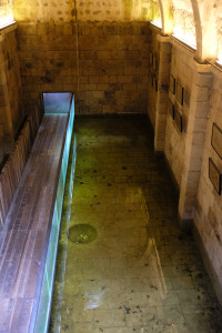 DSCF5178.JPG