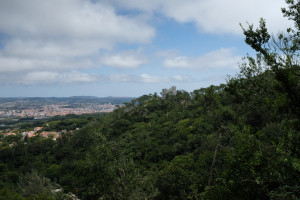 DSCF5179.JPG