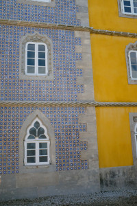 DSCF5196.JPG